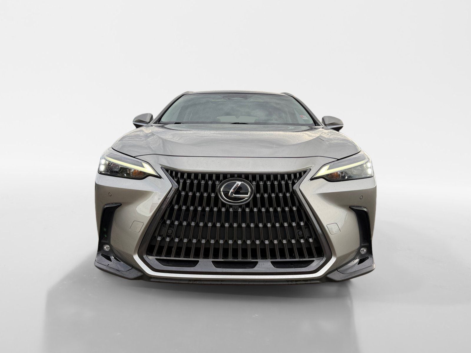 2022 Lexus NX 350 Luxury