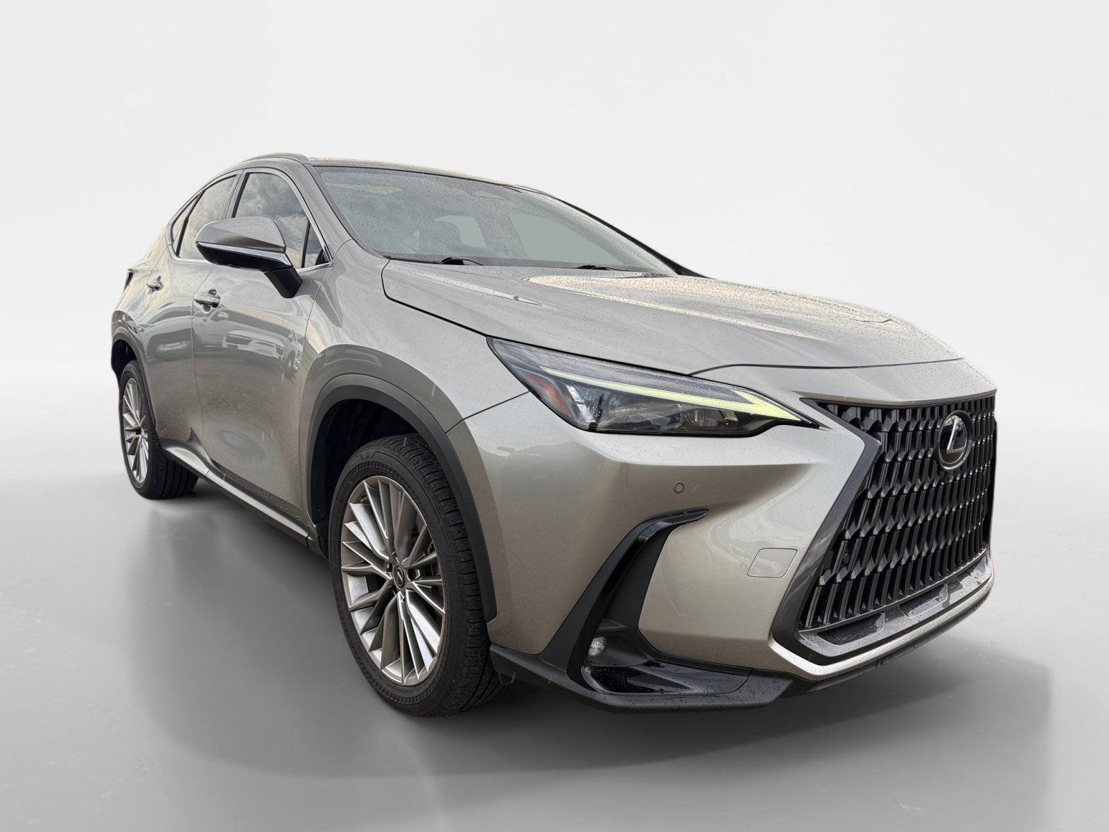 2022 Lexus NX 350 Luxury