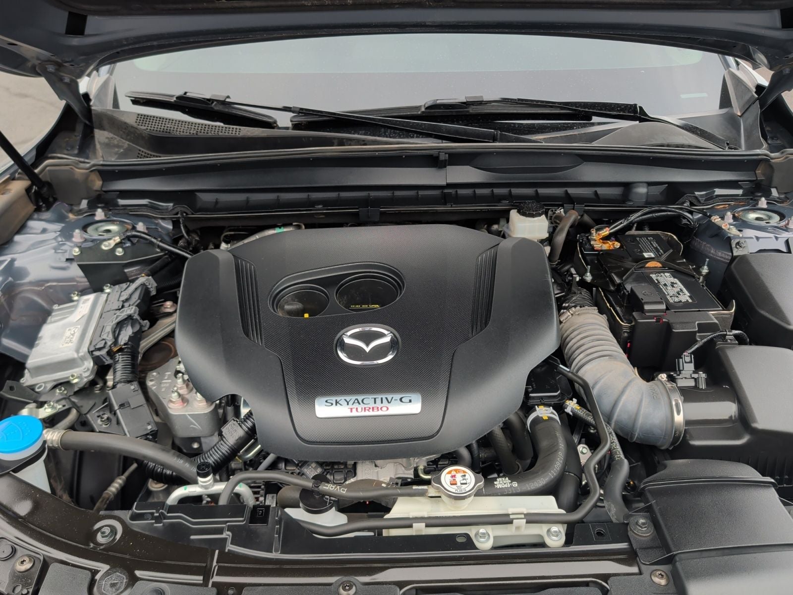 2024 Mazda Mazda CX-50 2.5 Turbo