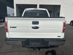 2010 Ford F-150 XL