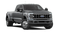 2026 Ford Super Duty F-450 DRW F-450® Platinum®