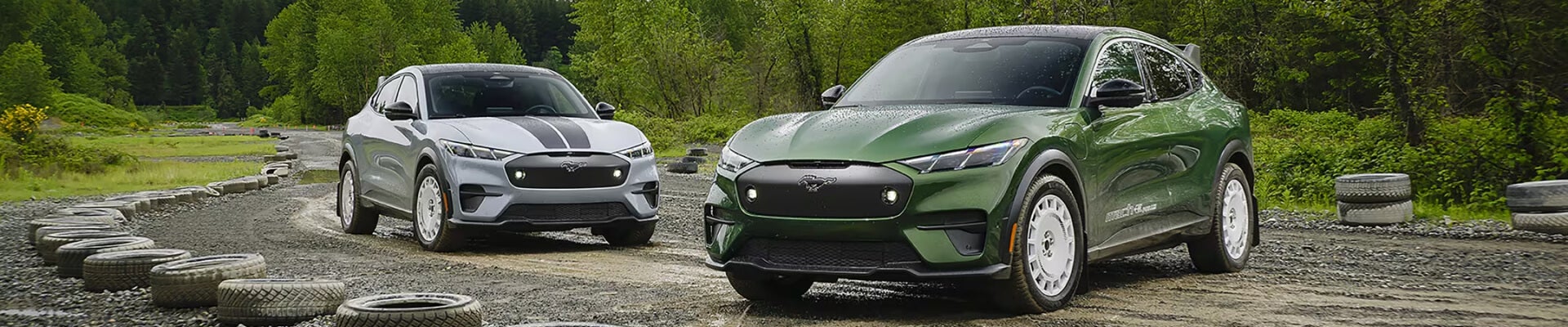 Ford Electric Vehicle